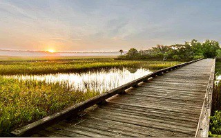 bluffton houses for sale,bluffton sc homes for sale,bluffton homes for sale,house for sale bluffton sc,bluffton sc real estate,real estate bluffton,houses for rent in bluffton sc,communities in bluffton sc,bluffton sc realty,palmetto bluff bluffton sc homes for sale,homes for sale bluffton in,houses for sale bluffton in,bluffton real estate,homes in bluffton sc,houses in bluffton sc,for sale bluffton sc,condos in bluffton sc,condos for sale bluffton sc,bluffton homes,foreclosures bluffton sc,land for sale bluffton sc,bluffton condos for sale,realtors bluffton sc,sun city bluffton sc homes for sale,for sale bluffton,new homes in bluffton sc,mls listings bluffton sc,bluffton sc real estate agents,sun city bluffton sc,bluffton sc golf communities,houses in bluffton,bluffton mls,bluffton sc real estate for sale,rentals in bluffton sc,bluffton sc mls,bluffton real estate for sale,hampton lake bluffton sc,bluffton golf communities,bluffton hoa fees,bluffton realtors,bluffton sc townhomes for sale,bluffton condos,bluffton foreclosures,lots for sale bluffton sc,bluffton communities,hampton lake bluffton sc homes for sale,townhouses for sale bluffton sc,homes for sale berkeley hall bluffton sc,bluffton land for sale,belfair homes for sale bluffton sc,hampton hall homes for sale bluffton sc,bluffton in real estate,bluffton sc townhomes,rose hill bluffton sc homes for sale,houses for sale in sun city bluffton sc,bluffton housing,berkeley hall bluffton sc real estate,bluffton lots for sale,homes for sale in the crescent bluffton sc,oldfield homes for sale bluffton sc,houses for sale in hampton hall bluffton sc,houses for sale in rose hill bluffton sc,hampton hall bluffton south Carolina,coastal homes bluffton sc,bluffton sc property search,homes for sale in hampton hall bluffton south Carolina,bluffton hampton lake,New Construction Homes in Bluffton,Waterfront Homes for Sale in Bluffton,Cottages for Sale in Bluffton,Homes for Sale in Okatie,Bluffton SC Real Estate Market,Top Housing Developments in Bluffton