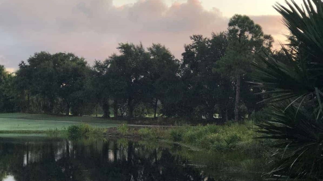 bluffton houses for sale,bluffton sc homes for sale,bluffton homes for sale,house for sale bluffton sc,bluffton sc real estate,real estate bluffton,houses for rent in bluffton sc,communities in bluffton sc,bluffton sc realty,palmetto bluff bluffton sc homes for sale,homes for sale bluffton in,houses for sale bluffton in,bluffton real estate,homes in bluffton sc,houses in bluffton sc,for sale bluffton sc,condos in bluffton sc,condos for sale bluffton sc,bluffton homes,foreclosures bluffton sc,land for sale bluffton sc,bluffton condos for sale,realtors bluffton sc,sun city bluffton sc homes for sale,for sale bluffton,new homes in bluffton sc,mls listings bluffton sc,bluffton sc real estate agents,sun city bluffton sc,bluffton sc golf communities,houses in bluffton,bluffton mls,bluffton sc real estate for sale,rentals in bluffton sc,bluffton sc mls,bluffton real estate for sale,hampton lake bluffton sc,bluffton golf communities,bluffton hoa fees,bluffton realtors,bluffton sc townhomes for sale,bluffton condos,bluffton foreclosures,lots for sale bluffton sc,bluffton communities,hampton lake bluffton sc homes for sale,townhouses for sale bluffton sc,homes for sale berkeley hall bluffton sc,bluffton land for sale,belfair homes for sale bluffton sc,hampton hall homes for sale bluffton sc,bluffton in real estate,bluffton sc townhomes,rose hill bluffton sc homes for sale,houses for sale in sun city bluffton sc,bluffton housing,berkeley hall bluffton sc real estate,bluffton lots for sale,homes for sale in the crescent bluffton sc,oldfield homes for sale bluffton sc,houses for sale in hampton hall bluffton sc,houses for sale in rose hill bluffton sc,hampton hall bluffton south Carolina,coastal homes bluffton sc,bluffton sc property search,homes for sale in hampton hall bluffton south Carolina,bluffton hampton lake,New Construction Homes in Bluffton,Waterfront Homes for Sale in Bluffton,Cottages for Sale in Bluffton,Homes for Sale in Okatie,Bluffton SC Real Estate Market,Top Housing Developments in Bluffton